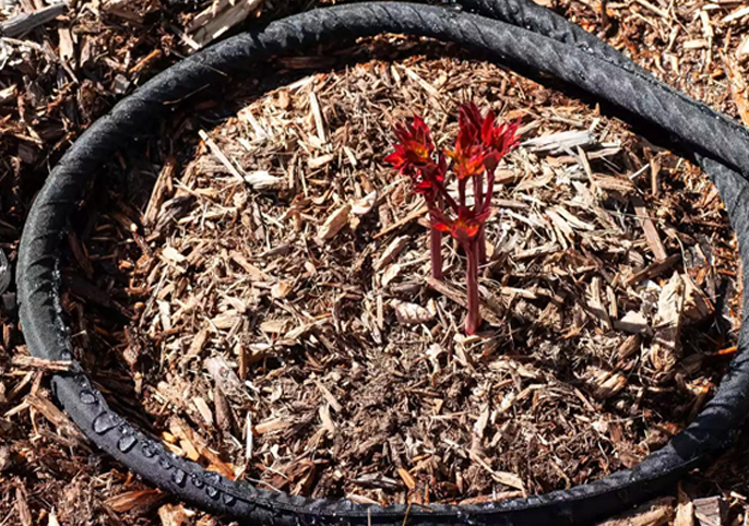 How Our Soaker Hose Helps Reduce Sourcing Risks and Supply Chain Challenges