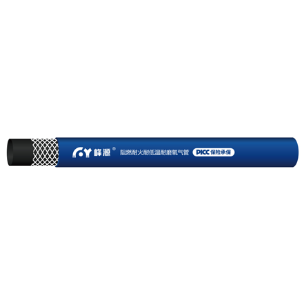 hand shower hose big w
