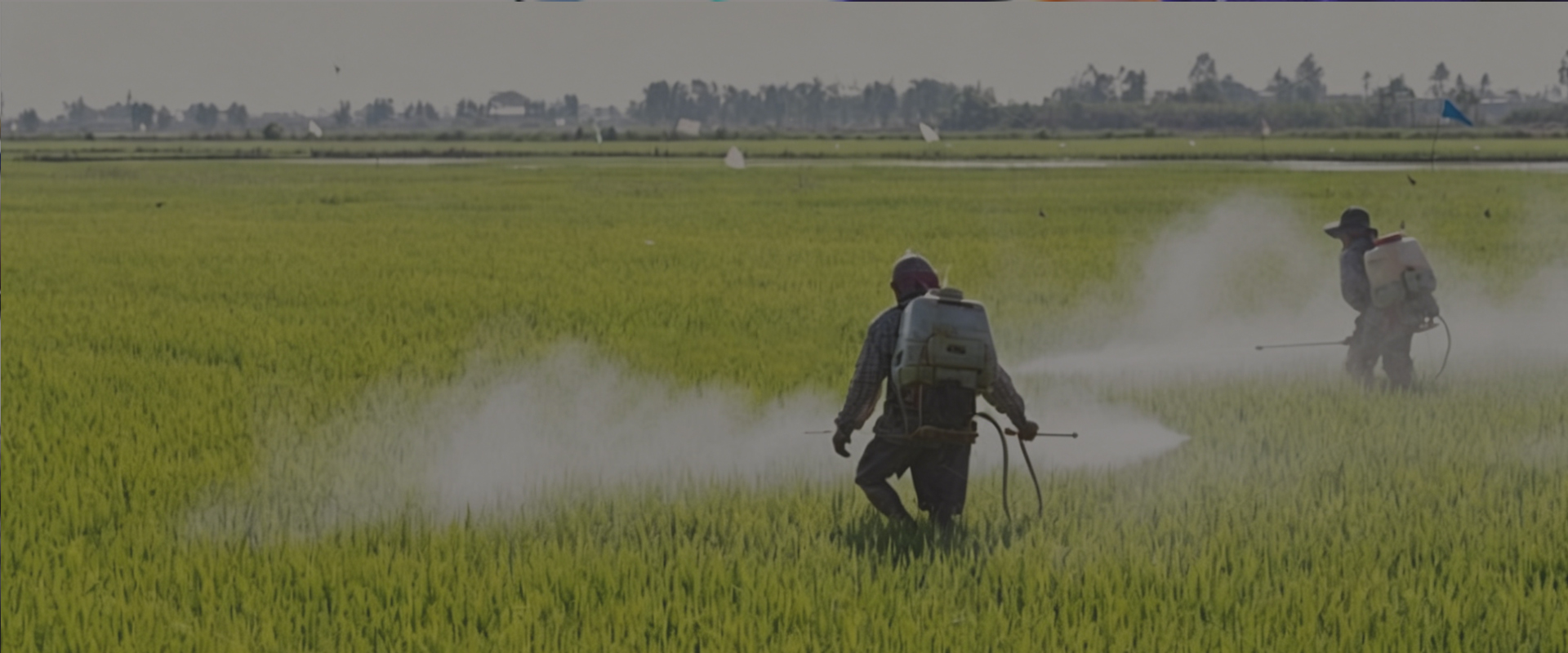 High-Quality Sprayer Hose Manufacturer & Supplier