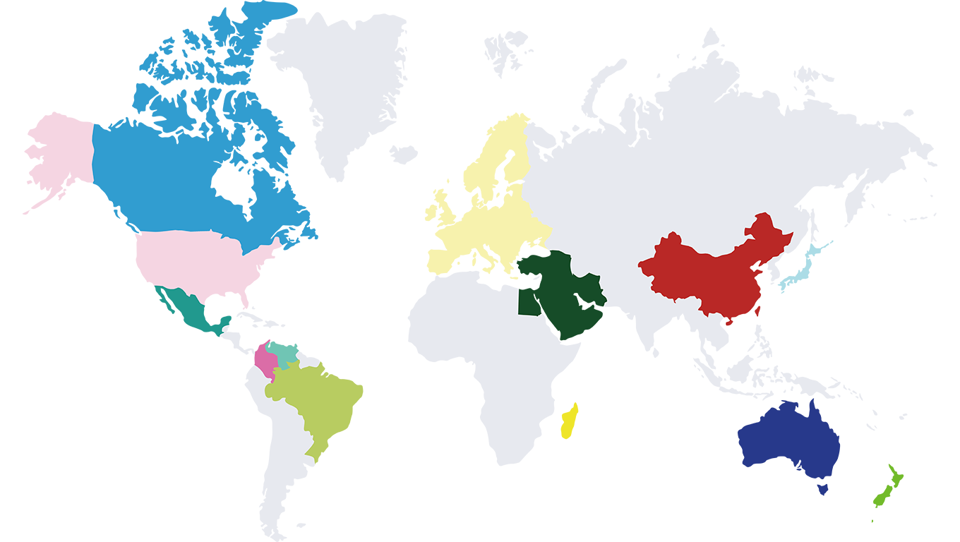 Market Coverage & Sales Network