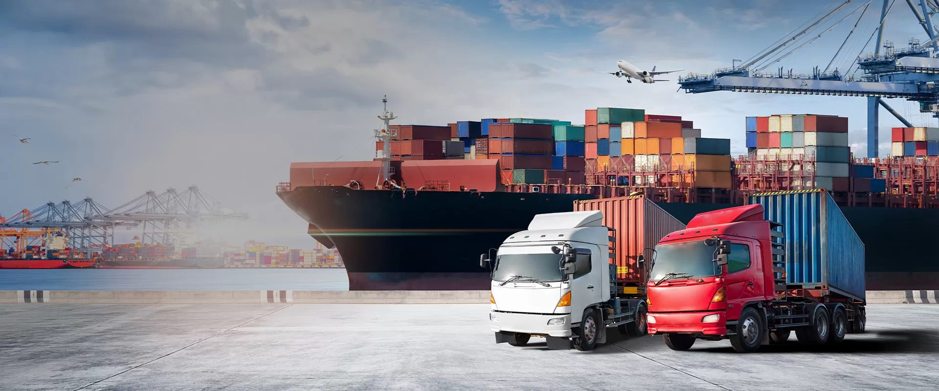 Logistic